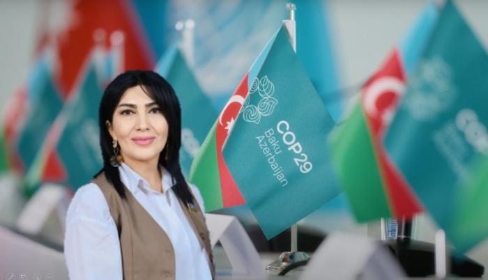 COP29: Azerbaijan‘s victory in climate diplomacy