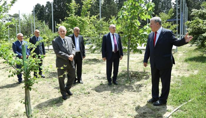 AMEA<abbr>-</abbr>nın Əsas binasının ərazisində yaz mövsümü ilə əlaqədar olaraq təmizlik, abadlaşdırma və yaşıllaşdırma işləri davam edir. AMEA<abbr>-</abbr>nın prezidenti akademik İsa Həbibbəyli və Akademiyanın Rəyasət Heyətinin üzvləri Azərbaycan Milli