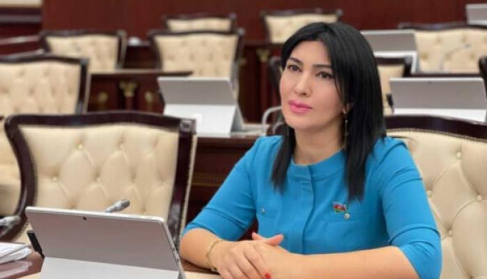 Media subyekti üçün ad başlıca şərtdir <abbr>-</abbr> Elnarə Akimova
