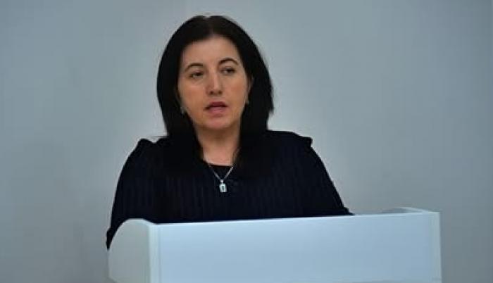 Salidə Şərifova. Müasir Azərbaycan bədii ədəbiyyatının struktur tərkibi: Müsahibə